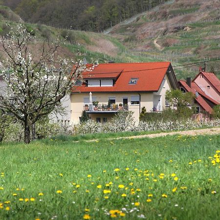 Ferienwohnung Graf Vogtsburg Eksteriør billede